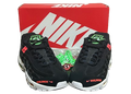 Air Max 95 WorldWild Noir - Taille 40,5 - État 8,5/10